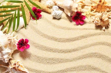 Sea shell and  flowers on sand, top view, summer conceptの写真素材