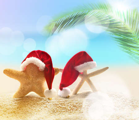 Summer beach. Merry Christmas. Starfish in Santa Claus hat.の写真素材