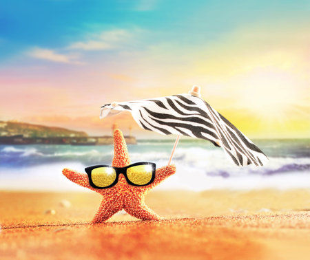 sandy beach on the tropical coast and starfishの写真素材