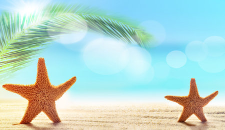 Two starfish in the sand on the beach. Tropical landscape
