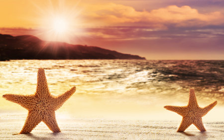 Two starfish in the sand on the beach. Tropical landscape