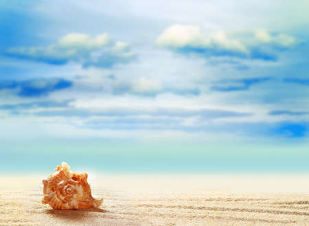 Seashell on white sand beach with ocean, such a summer vacationの写真素材