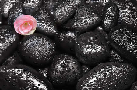 Flower and wet black stones. Spa concept.の写真素材