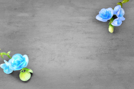 Beautiful blue flowers on grey background, close up
