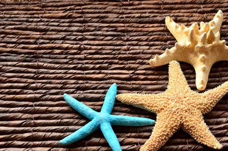 White starfish on background made of dried bamboo leavesの写真素材