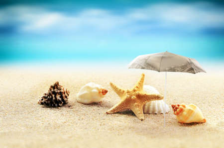 starfish with parasol and shells on the sandy beachの写真素材
