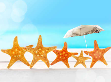 starfish with parasol on the sandy beachの写真素材
