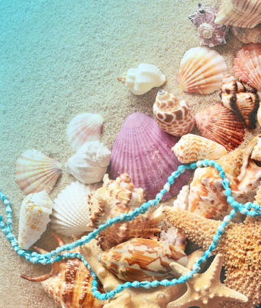 Sea shells and starfish with sand as background. Summer beach.の写真素材