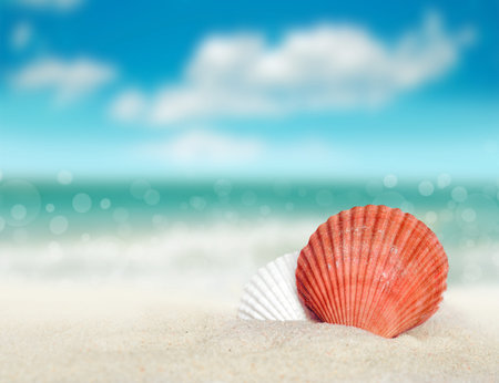 Big seashell on the sandy beach. Summer time.
