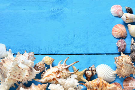 Seashells and starfish on blue wooden backgroundの写真素材