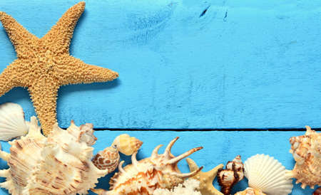 Seashells and starfish on blue wooden backgroundの写真素材