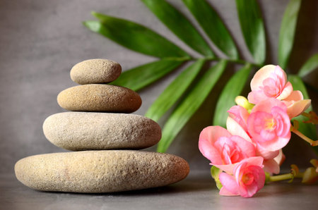 Stones balance with flower and palm on grey background.