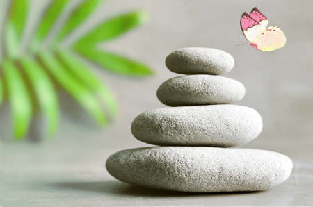Stones balance and green palm on grey background.の写真素材