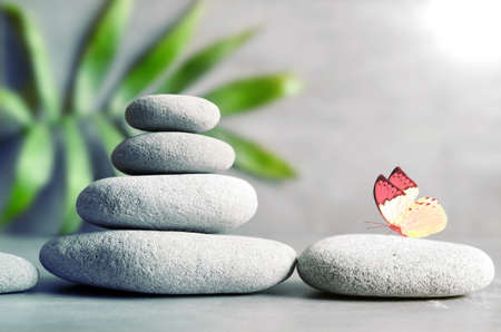 Stones balance and green palm on grey background.の写真素材