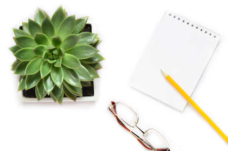 Flat lay, top view office table desk. workspace with succulent , cactus, notebook on white background.の写真素材