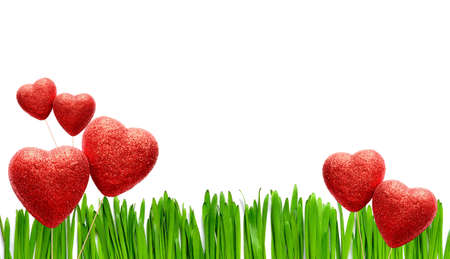 Valentines Day background with heart and fresh grass garden.の写真素材