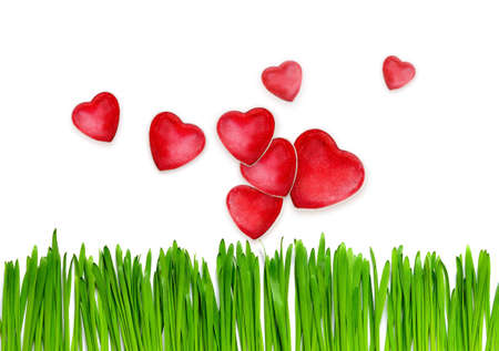 Valentines Day background with heart and fresh grass garden.の写真素材