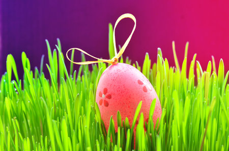 One colored easter egg on green grass
