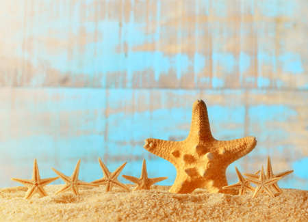 Sea sand with starfish on blue wooden background.の写真素材