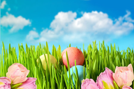 Three colored easter eggs on green grass