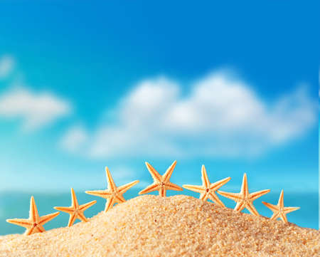 Many starfish on a sandy beach near the seaの写真素材