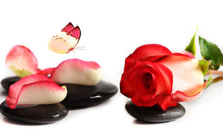Spa stones with rose flower and petals on a white background.の写真素材