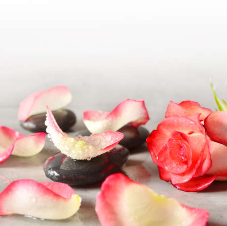 Spa stones and rose petals over grey background. Spa concept.の写真素材