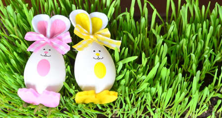 Colored easter eggs bunny on green grassの写真素材