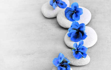 Spa concept with blue flower and zen stonesの写真素材