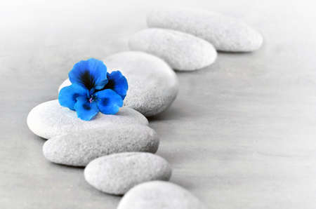 Spa concept with blue flower and zen stonesの写真素材