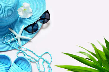 Green palm on white surface with beach items, top view.の写真素材