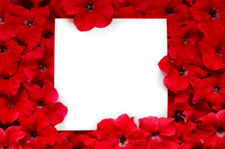 Creative layout made of red flowers with paper card note. Flat lay. Nature conceptの写真素材