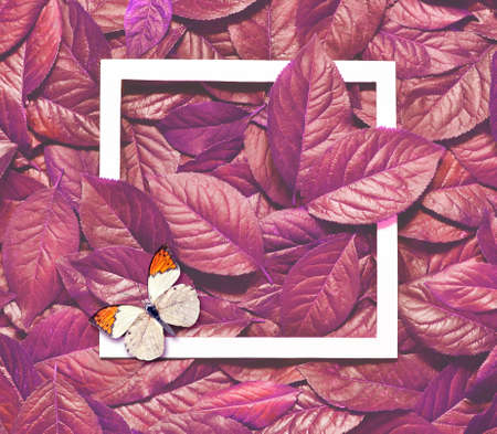 Creative layout made of leaves with paper card note. Flat lay. Nature concept.の写真素材