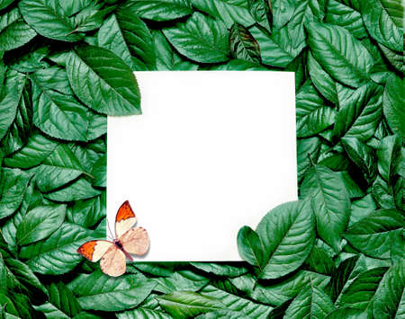 Creative layout made of leaves with paper card note and butterfly. Flat lay. Nature concept.の写真素材