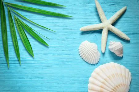 Summer sea background. Starfish and seashells on blue wooden background.の写真素材