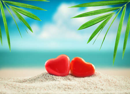 Beach Valentine's Day. Greeting card with heart and palm.の写真素材
