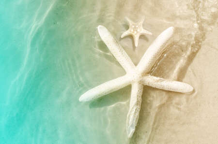 starfish on the summer beach with sand and waveの写真素材