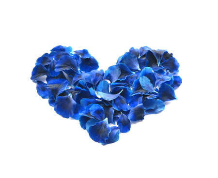 Heart made of rose petals. Blue rose petals heart over white background. Top view with copy space for your text. Love and romantic theme. Valentines day.の写真素材