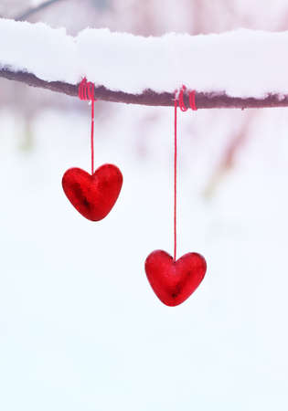 Red hearts on snowy tree branch in winter. Holidays happy valentines day, love concept.の写真素材