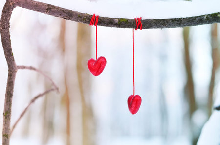 Red hearts on snowy tree branch in winter. Holidays. Happy valentines day celebration. Heart love conceptの写真素材
