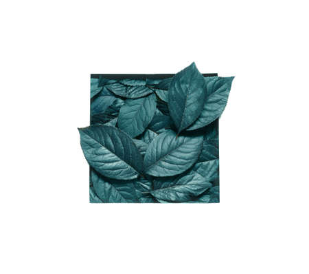 Creative layout made leaves with white paper frame. Flat lay. Nature concept.の写真素材