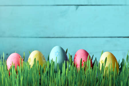 Painted Easter eggs in a green grass on a meadow. Happy Easter.の写真素材