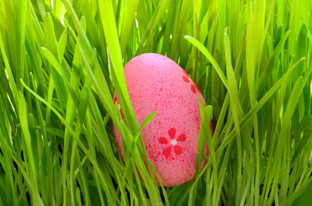 Painted Easter egg in a green grass on a meadow. Happy Easter.