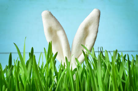 Easter funny bunny on green grass. Easter backgroundの写真素材