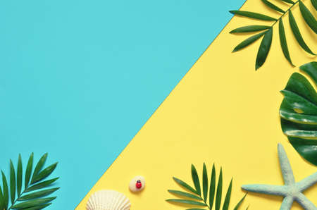 Tropical Background. Palm Trees Branches with starfish and seashell on yellow and blue background. Travel. Copy spaceの写真素材
