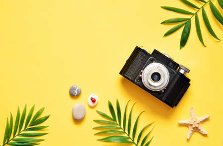 Tropical Background. Palm Trees Branches with camera and seashell on yellow background. Travel. Top view.の写真素材