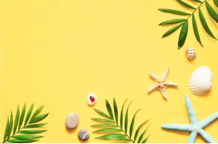Tropical Background. Palm Trees Branches with starfish and seashell on yellow background. Travel. Copy spaceの写真素材