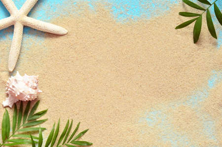 Summer beach. Starfish and seashell on the sand and palm branch.の写真素材