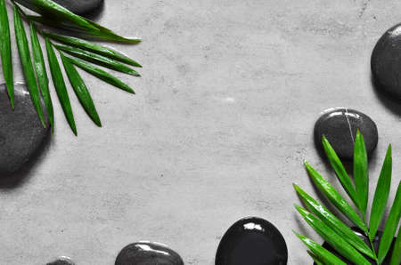 Grey spa background, moisturizing concept, palm leaves and black wet stones, top viewの写真素材