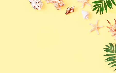 Tropical Background. Palm Trees Branches with starfish and seashell on yellow background. Travel. Copy spaceの写真素材